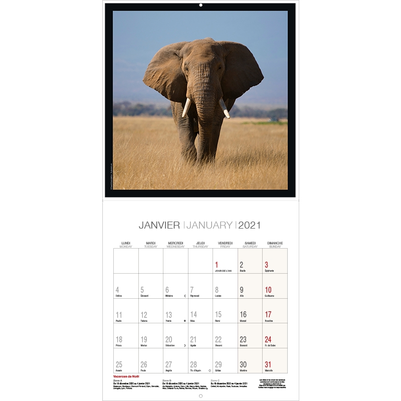 Bouchut Calendrier 2021 Animaux Sauvages 30x30 Comptoir Des Ecoliers Fantasio cm 2021 calendrier afrique